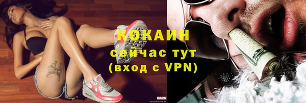 гидра Вяземский