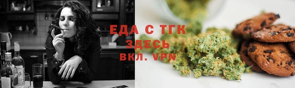 гидра Вяземский