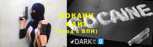 гидра Вяземский