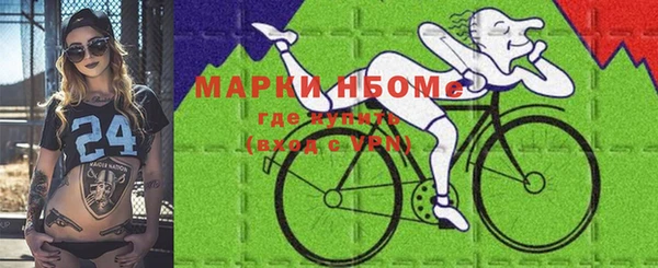 гидра Вяземский