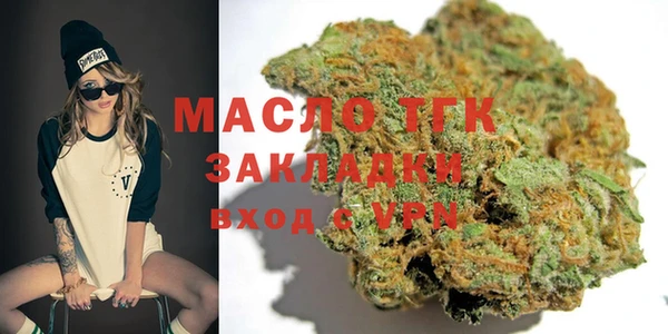 гидра Вяземский