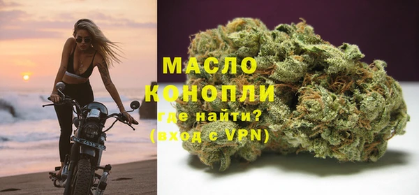 гидра Вяземский