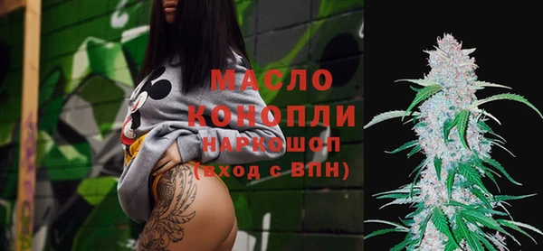 гидра Вяземский