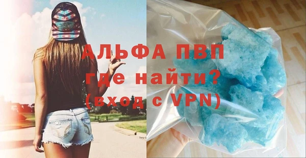 гидра Вяземский